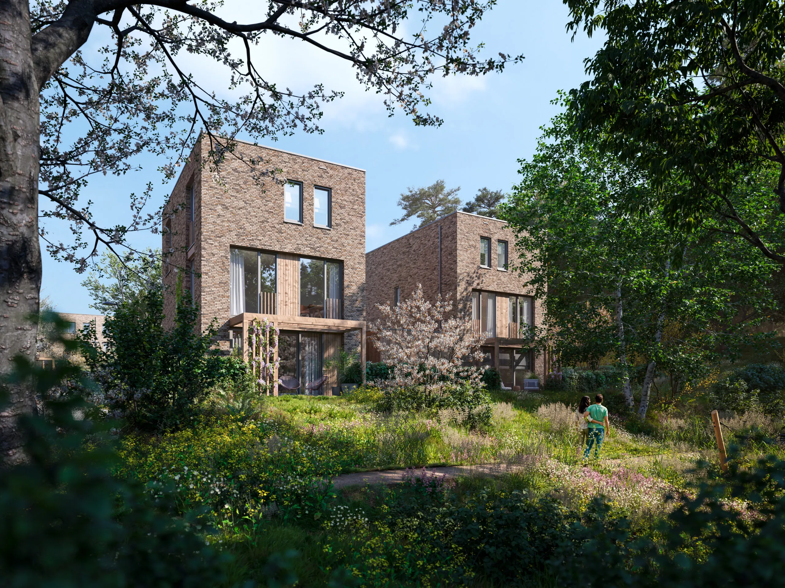 3d Exterieur Visualisatie