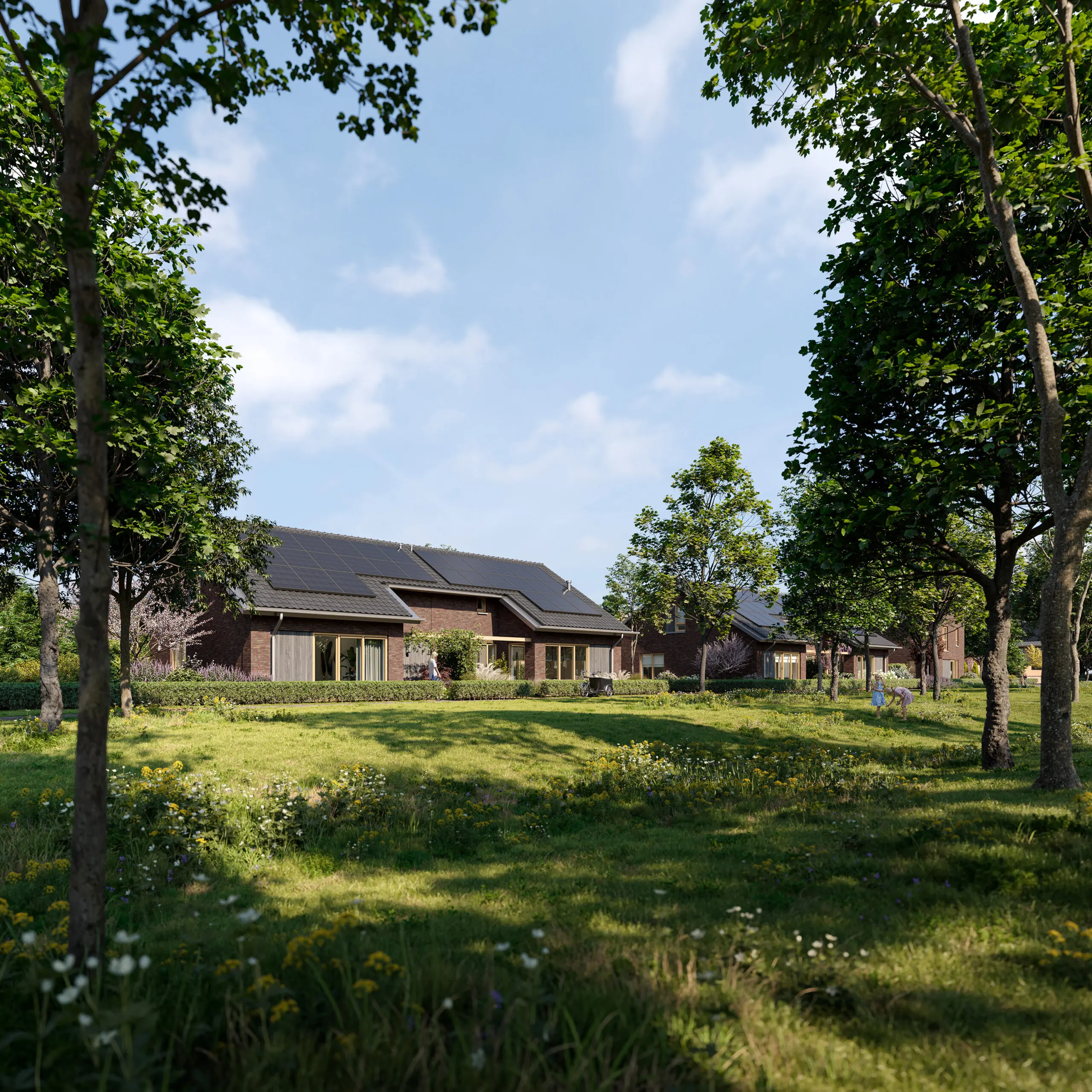 Langs de Weiden exterieur visualisatie